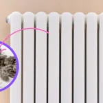 Non coprire mai i termosifoni con questo materiale: ecco il perché