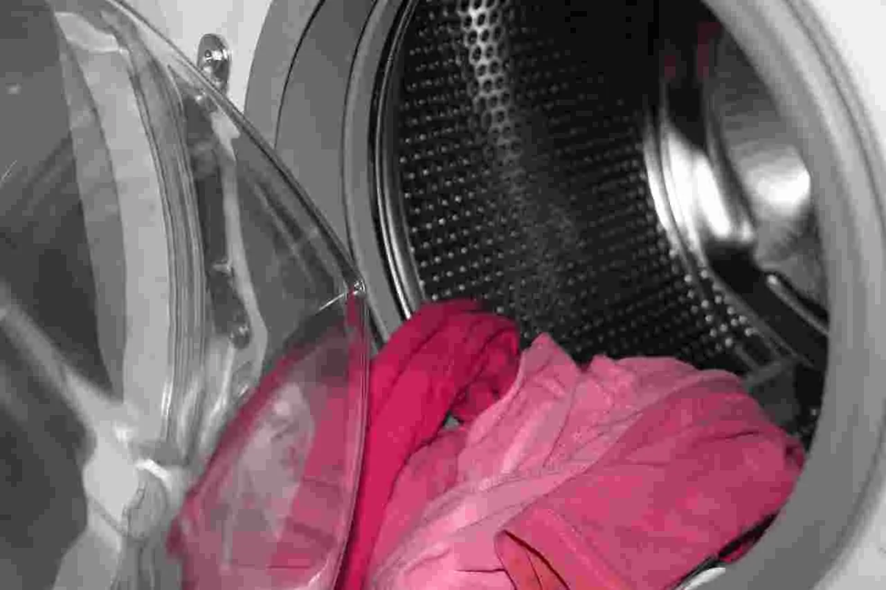 Non lasciare i vestiti umidi nel cestello: ecco perché puzzano