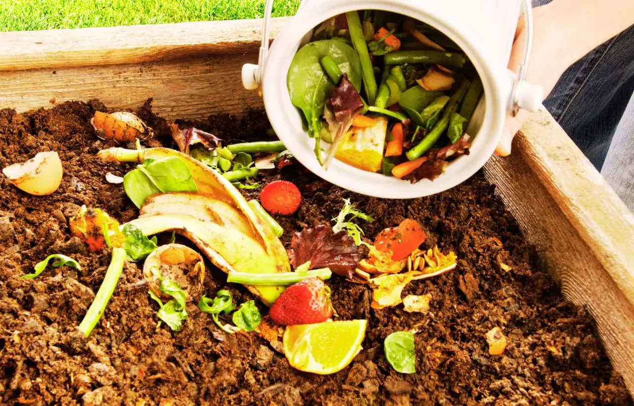 Mettere il compost in inverno? L’errore di dicembre che pochi conoscono